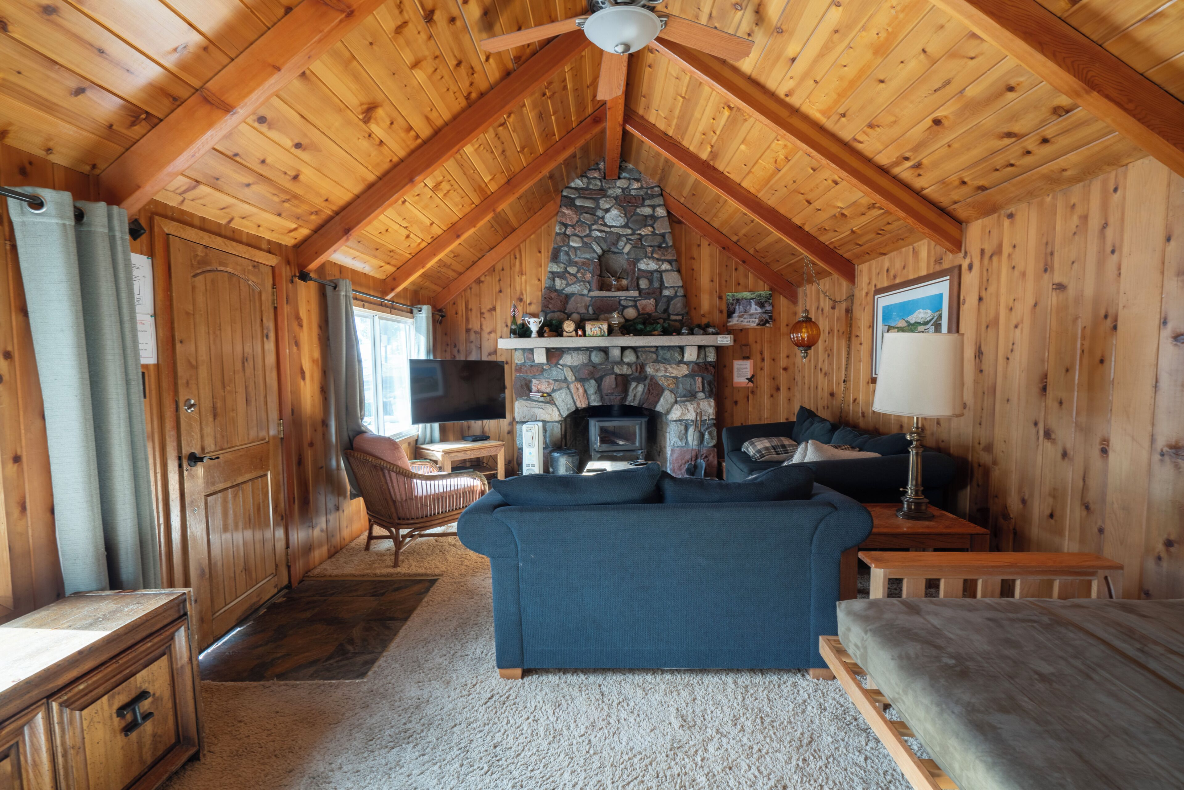 TV, fireplace, DVD player, books