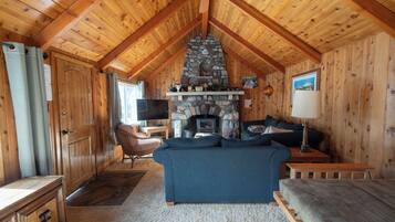 TV, fireplace, DVD player, books