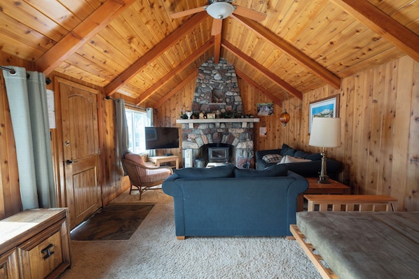 TV, fireplace, DVD player, books