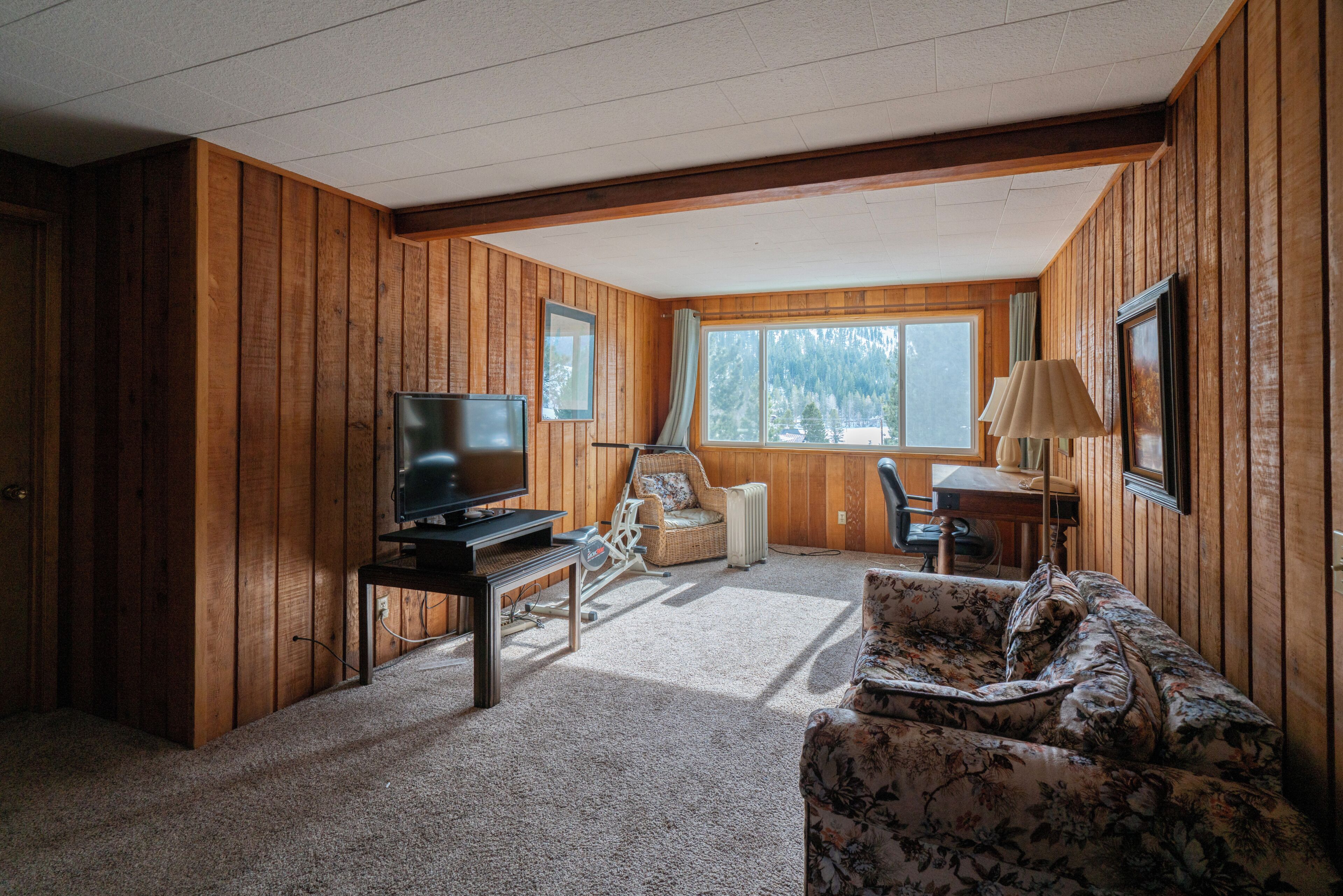 TV, fireplace, DVD player, books