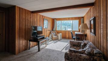 TV, fireplace, DVD player, books