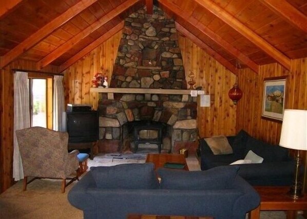 Televisión, chimenea, reproductor de DVD y libros 