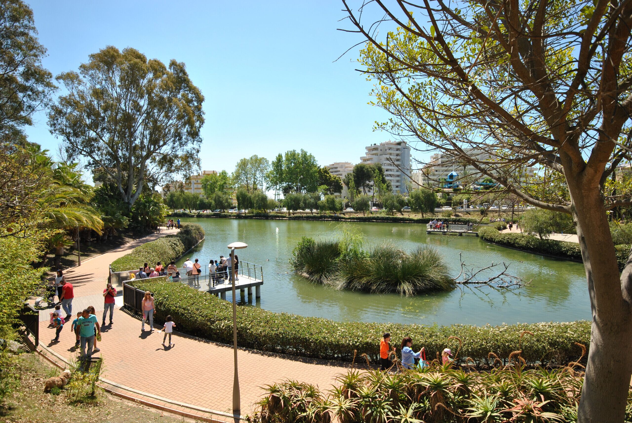 A park with a pond, walking paths, and a bridge.