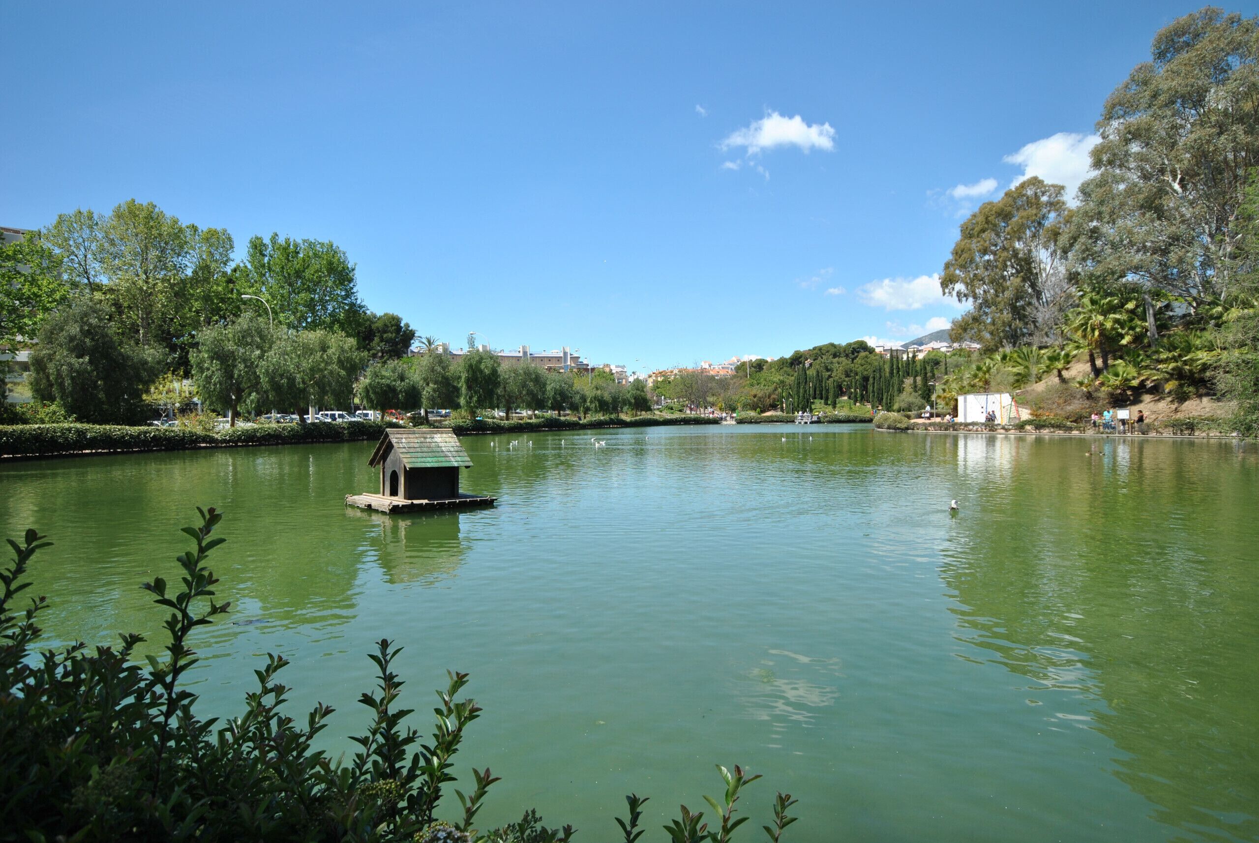A calm lake with a small dock and a birdhouse, surrounded by lush greenery and trees.