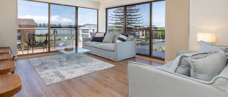 Smart TV, videojuegos, reproductor de DVD, libros