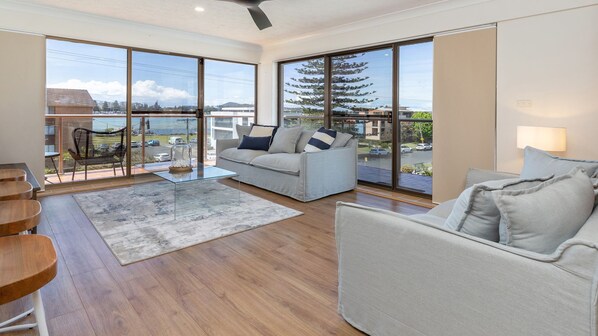 Smart TV, videojuegos, reproductor de DVD, libros