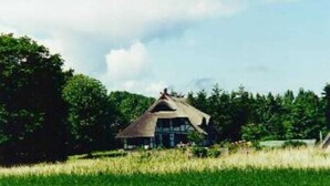 Ein Haus mit Strohdach, umgeben von einer Wiese und Bäumen.