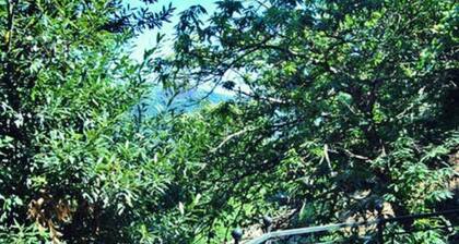 Quinta do Freixieiro - Uima-altaan talo