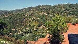 A hillside with terraced gardens and a view of a village.