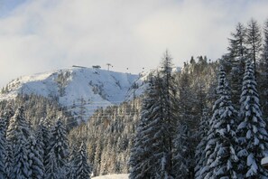 Paisaje nevado de montaña con un telesilla y árboles cubiertos de nieve.