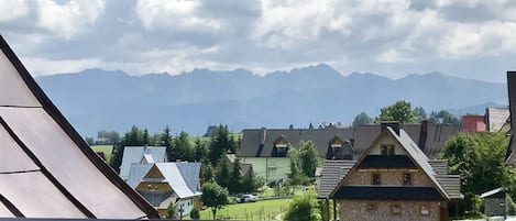 Family Room, Mountain View, Mezzanine | View from room