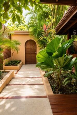 A pathway leading to a wooden door, surrounded by lush greenery and plants.