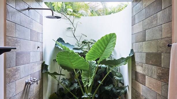 A narrow shower area with stone walls, a white ceiling, and a view of greenery outside. - Villa Colibrí, 3 BR, walk to beach, private pool (Santa Teresa Beach)