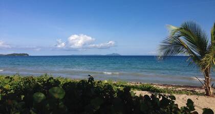 A Happy Paradise Home