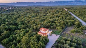 Une vue aérienne d’une maison entourée d’une forêt dense, avec une route menant à celle-ci.