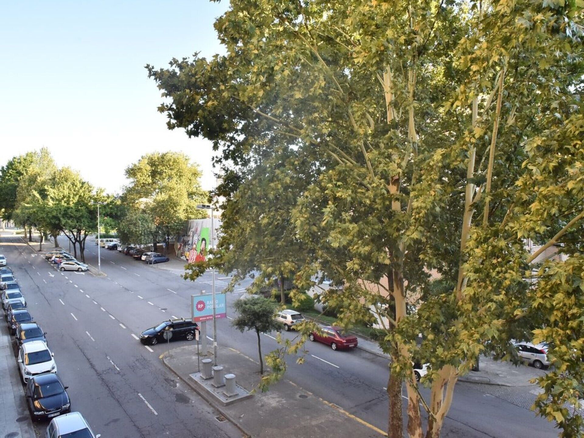 A street view with parked cars, trees, and a pedestrian crossing.