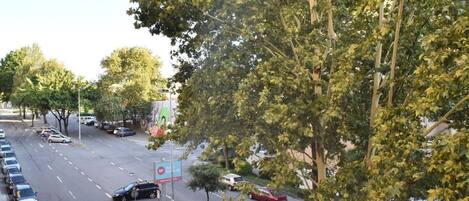 A street view with parked cars, trees, and a pedestrian crossing.