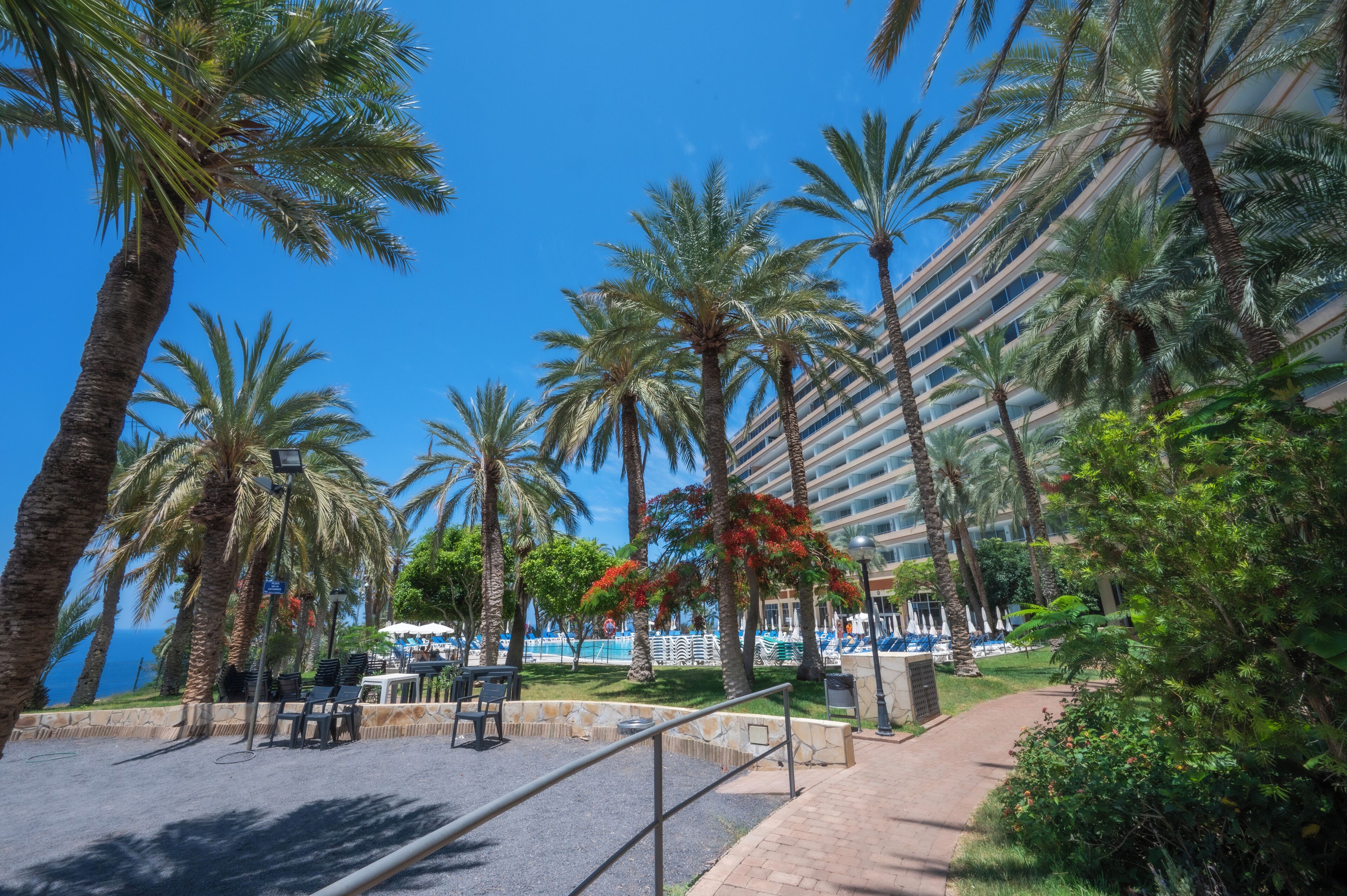 Ein Strandhotel mit Palmen, einem Poolbereich und blauem Himmel.