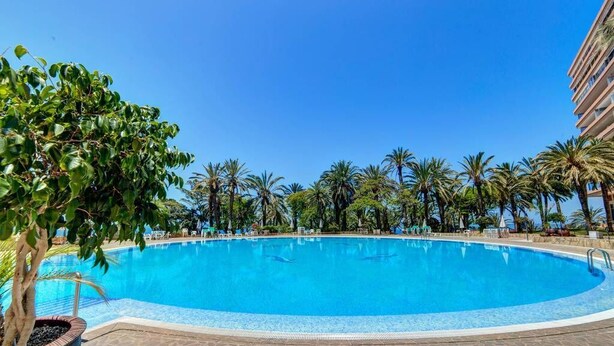 A large, clear blue pool surrounded by palm trees and a building.