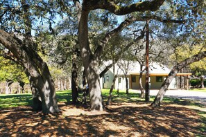 A large tree with a sturdy trunk and expansive canopy, a building with a yellow roof, and a well-maintained grassy area.