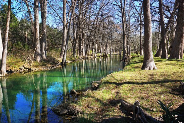 Ein ruhiger Fluss mit hohen Bäumen, die sich im Wasser spiegeln, umgeben von grünen Ufern.