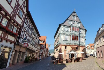 Hotel zum Riesen