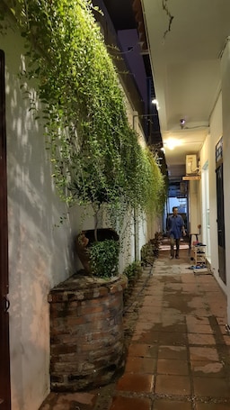 Jardín. White House Hostel