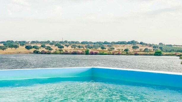 Vista de una masa de agua con una costa lejana y árboles.