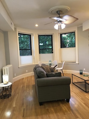 Smart TV, fireplace, computer monitors - Walking to Fenway Sunny Perfect Home (Brookline)