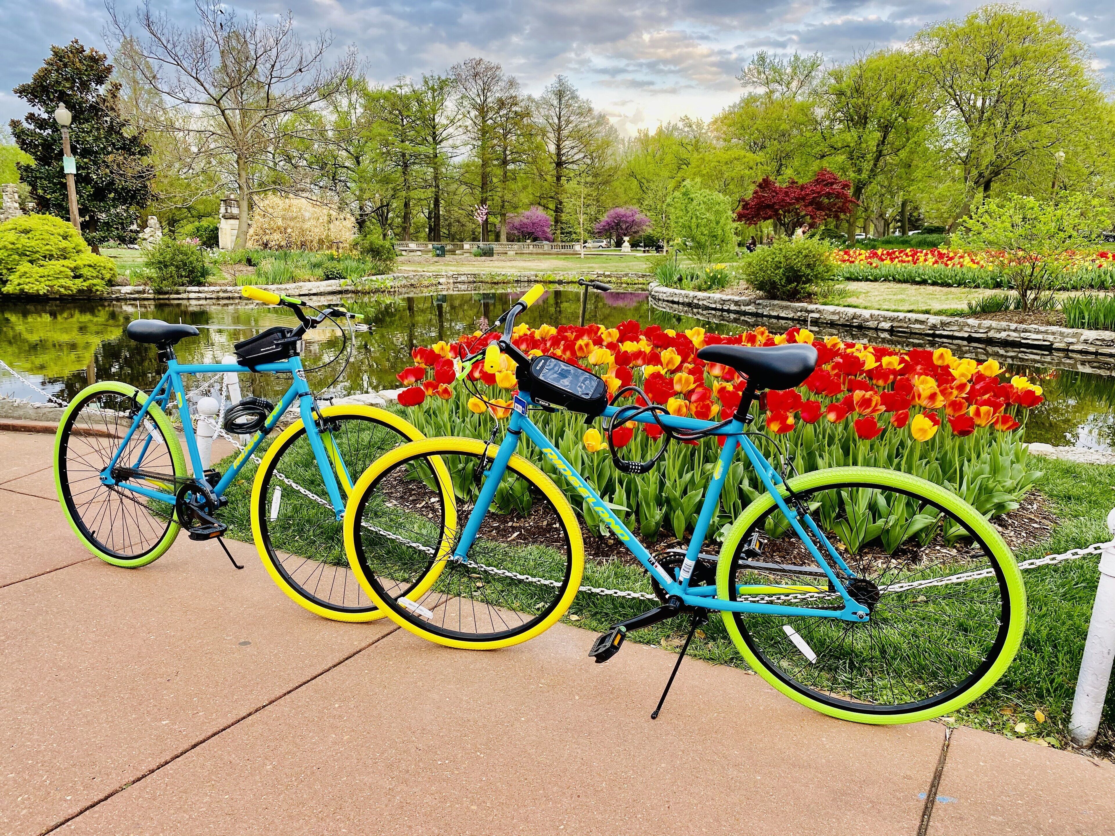 A bicycle parked by a pond with vibrant tulips in the background.