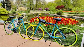 A bicycle parked by a pond with vibrant tulips in the background.