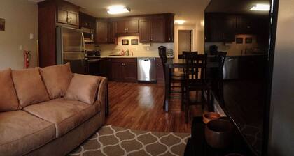 Downtown Nice Apartment with Parking