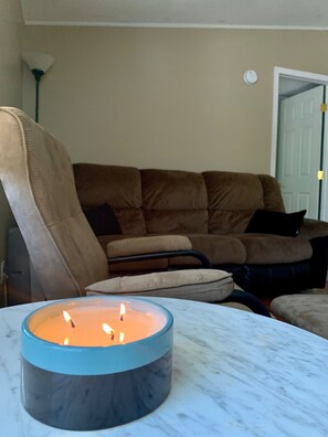 Smart TV, fireplace, DVD player, books