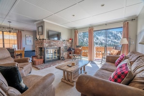 TV, fireplace, DVD player