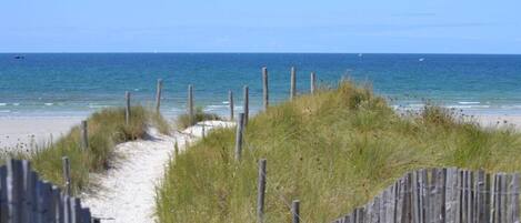 ビーチ、サンラウンジャー、ビーチタオル