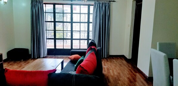 TV, Netflix, streaming services