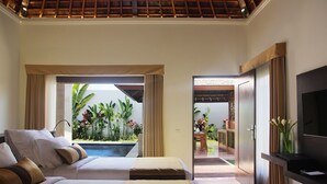 Habitación de hotel con dos camas, televisión, una piscina pequeña y vistas a un jardín.