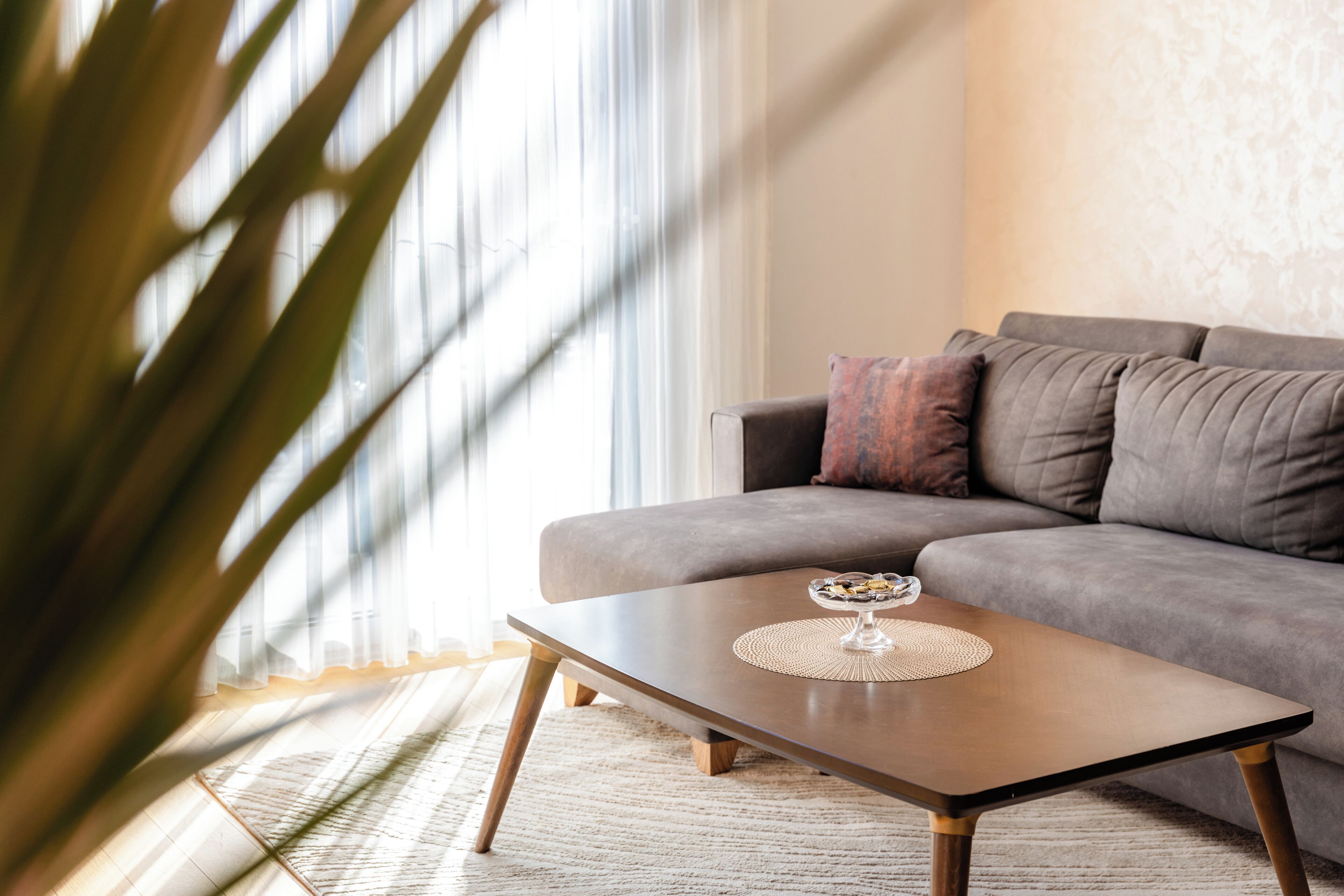 A modern living room with a grey sofa, a wooden coffee table with a decorative item, and a large plant.