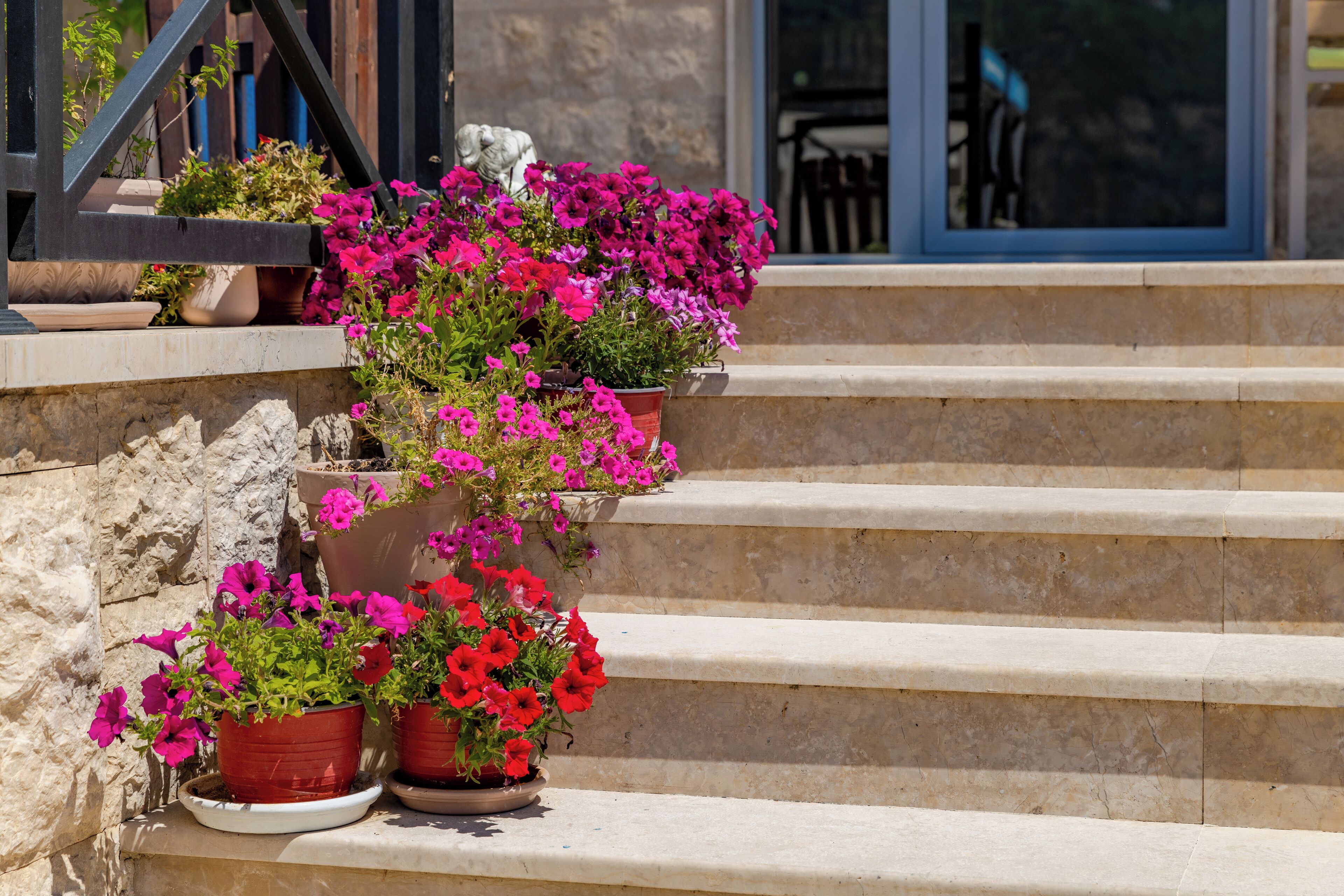 A set of stone steps leading up to a building entrance, with potted plants and flowers along the steps.