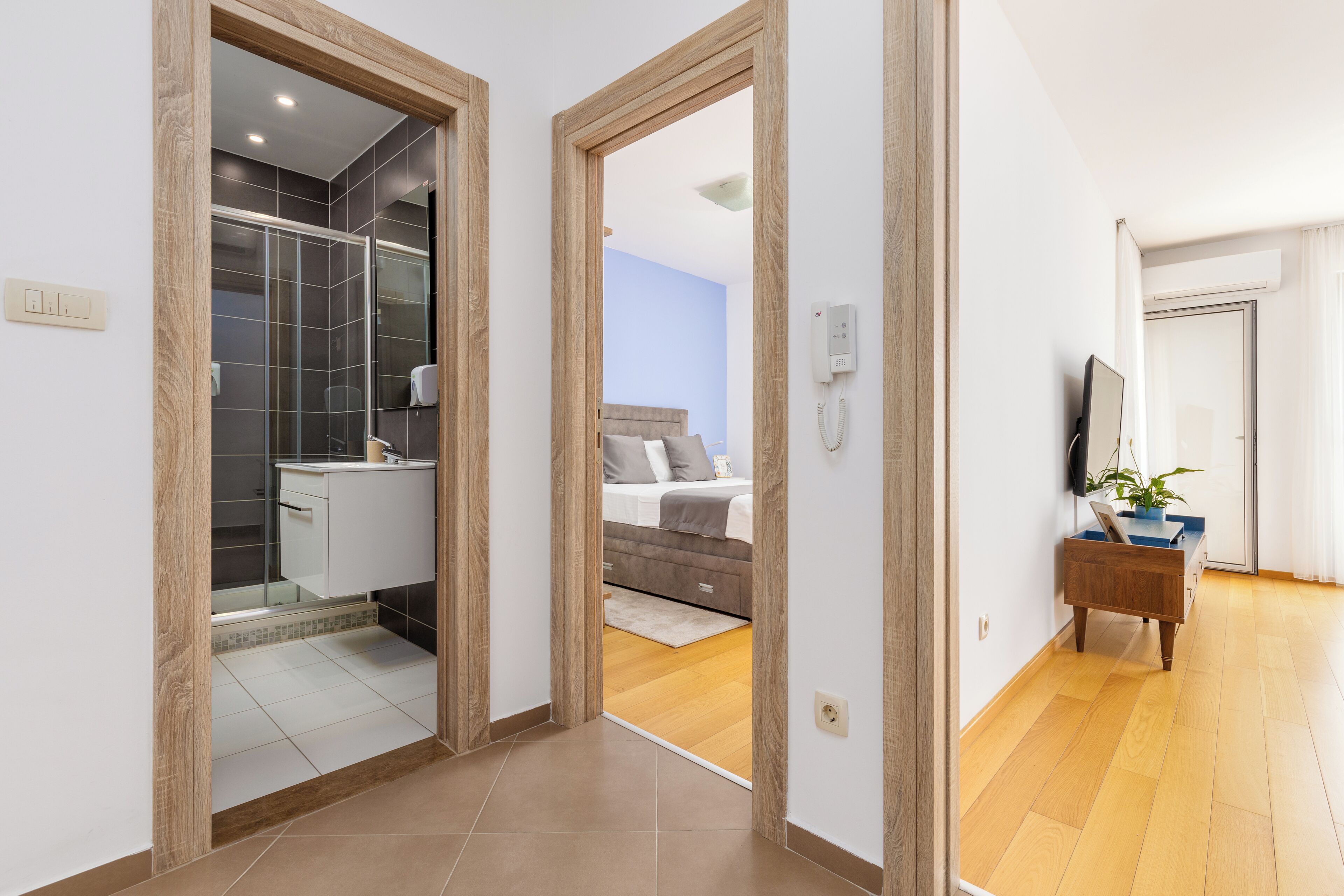 Habitación de hotel con ducha, cama, mesita de noche con planta y televisor.