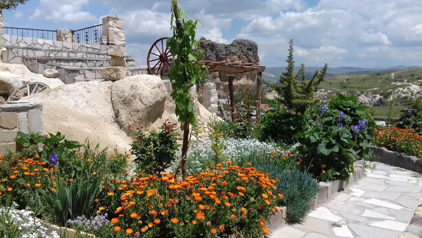 Un jardin agrémenté de diverses fleurs, un mur de pierre et une structure en bois rustique.