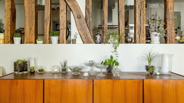 A wooden counter with various glass containers and plants.