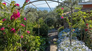 A garden with a metal archway, various flowering plants, and a view of the sea.