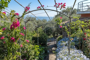 A garden with a metal archway, various flowering plants, and a view of the sea.