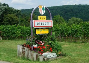 Un cartel para OTTROTT con la marca de ruta D 35, rodeado de un jardín de flores y viñedos.