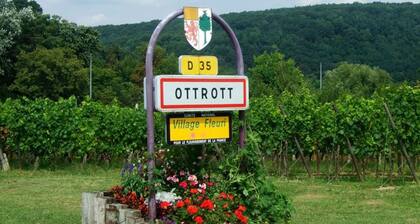 Cottage 8 to 11 people nearby Obernai