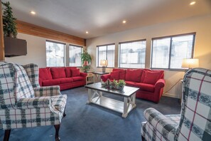 电视、壁炉、DVD 播放器