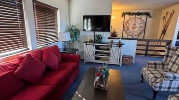 TV, fireplace, DVD player