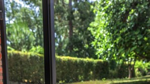 A window with a view of a garden, a small green object, and a red plate on a black surface.