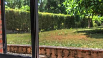 Une fenêtre donnant sur un jardin, un petit objet vert et une assiette rouge posée sur une surface noire.
